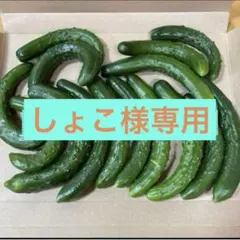 しょこ様専用 — image 1
