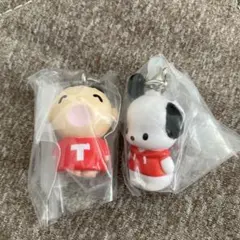 サンリオキャラクターズ めじるしアクセサリー ガチャ　ポチャッコ　たあ坊 — image 1