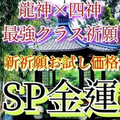 超大吉日 龍神&陰陽道コラボ記念‼️先着3名様‼️金運施術 占い 霊視 金運 — image 1