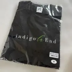 【完売品】indigo la End 夏ロゴTシャツ　Mサイズ　川谷絵音 — image 1