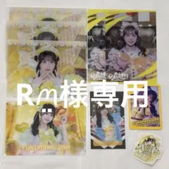 Rꪔ̤̮様専用 — image 1