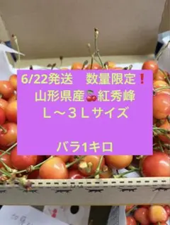 ガマ様専用 — image 1