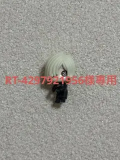 RT-4297921956様専用 — image 1