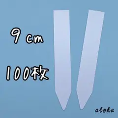 ホワイト　100枚 多肉植物 アガベ サボテンに◎ 園芸用 ラベル ネームラベル — image 1