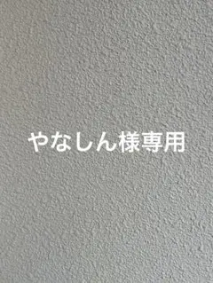 やなしん様専用 — image 1