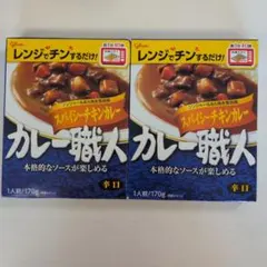 カレー職人 スパイシーチキンカレー 辛口 2箱 — image 1