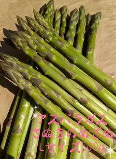 アスパラガス　さぬきのめざめ　Lサイズ　500g — image 1