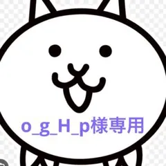 o_g_H_p様専用 — image 1