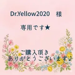 Dr.Yellow2020　様　専用です★ — image 1