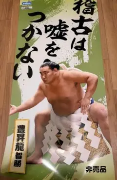 ✨非売品✨豊昇龍オリジナルビッグサイズポスター　ウエルシア — image 1