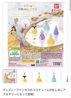 ディズニープリンセス コスチュームめじるしアクセサリー オーロラ姫 — image 1