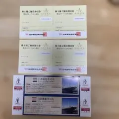 日本郵船 株主優待 飛鳥クルーズ割引券 氷川丸招待券 — image 1