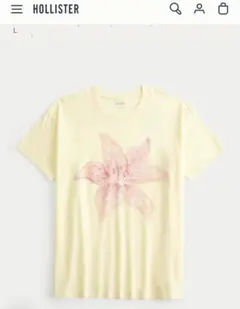 新品タグ付き Hollister レディースTシャツ L サイズ — image 1