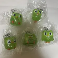 duolingo ドゥオリンゴ めじるしアクセサリー コンプリート — image 1