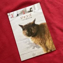 ジャンゴ 一万人に愛された猫 — image 1