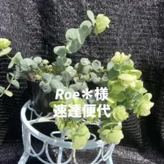 速達便代 — image 1