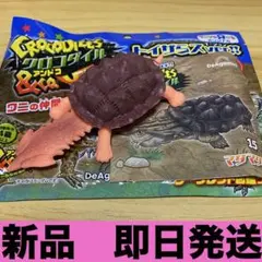 クロコダイル&co. アンドコ　マタマタ — image 1