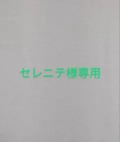セレニテ様専用 — image 1
