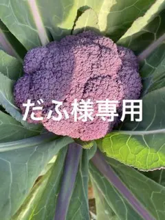 だふ様専用です。 — image 1
