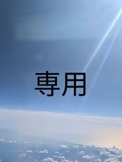 専用出品です — image 1