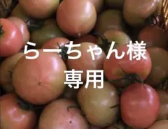 らーちゃん様　専用 — image 1