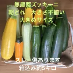 無農薬ズッキーニ　三色　箱込み約5キロ スレ，傷あり　大きさ不揃い 大きめ — image 1