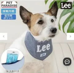 PET PARADISE Lee ペット用バンダナ 保冷剤付き — image 1