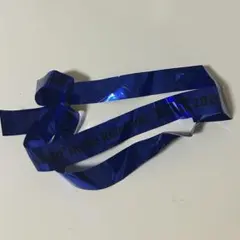 にじさんじSitR 名古屋 銀テ — image 1