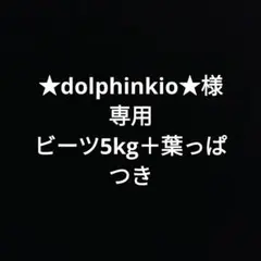 ★dolphinkio★様専用 — image 1