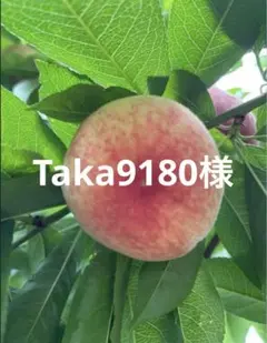 専用 — image 1
