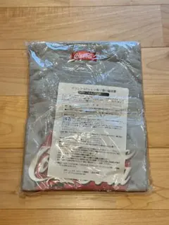 ⑥Coca-Cola 2002年製 グレーTシャツ — image 1