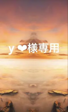 y‪‪ ❤︎様専用 — image 1