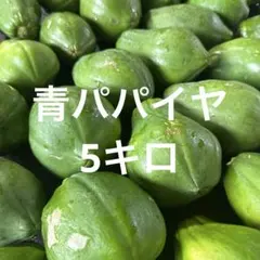青パパイヤ⭐️5キロ — image 1