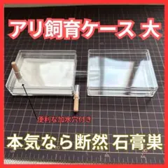 アリ飼育ケース(大) 餌場(大)付き 【アリの巣】 — image 1
