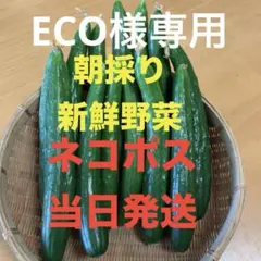 7/4 ECO様専用 — image 1