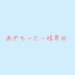 あぎちーたー様専用 — image 1