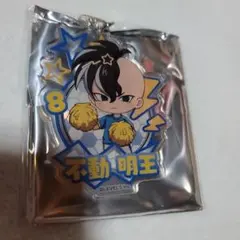 イナイレ 不動明王 フレフレンズ アクリルキーホルダー — image 1
