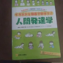 発達段階×領域別で理解度Up!イラストと動画で学ぼう!人間発達学 — image 1