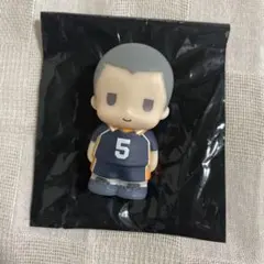 ハイキュー!! 田中龍之介 ぱぺマス — image 1