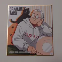 SAKAMOTO DAYS トレーディングミニ色紙 猫と戯れver. 坂本太郎 — image 1