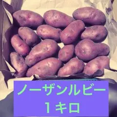 ジャガイモ　ノーザンルビー　宅急便コンパクト便 — image 1