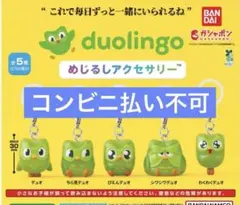 デュオリンゴ Duolingo めじるしアクセサリー コンプリート　新品 — image 1