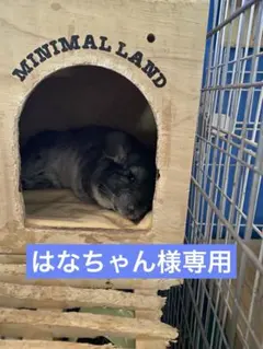 はなちゃん様専用 — image 1