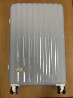 spyplan キャリーバッグ ライトグレー Mサイズ — image 1
