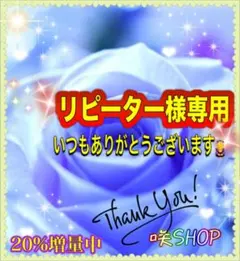 リピーター☘️ymm♡様30 — image 1