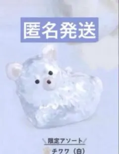 うちの子のけだまだま　犬　チワワ（白）　シープラ 限定 — image 1