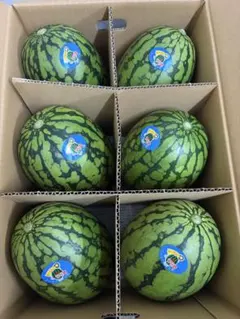 産地直送！小玉スイカウリ坊6玉入！甘くて美味しい箱込10キロ前後 — image 1
