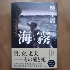 海霧 ―ジリ― — image 1