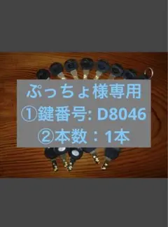 ぷっちょ様専用 ①鍵番号: D8046 ②本数：1本 — image 1