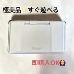 ​【極美品/すぐ遊べる】ニンテンドーDS プラチナシルバー ソフト　付属品付 — image 1